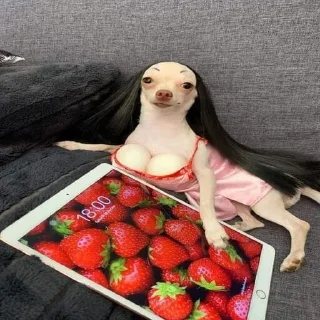Telegram sticker 💅 сраный огурец
