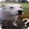 Video sticker ❓️ мать прод�...