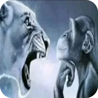 Video sticker 🐵 Best photos OAT✌🏻