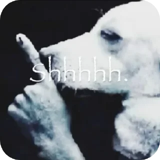 Telegram sticker 🤫 Best photos OAT✌🏻