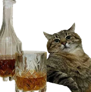 Телеграм стикер 🥃 hubertpack