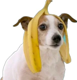 Sticker 🤔 hubertpack