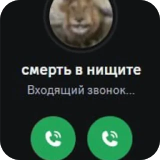 Video sticker 🐶 Фруктыыыы