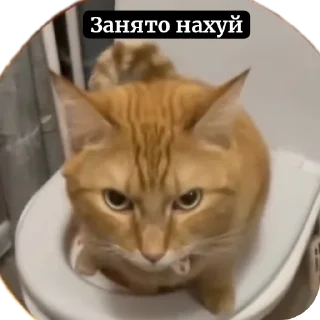 Telegram sticker 🖼 Фруктыыыы