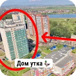 Telegram sticker 🦆 Больше стиков тут: @stikery4