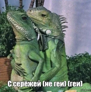 Video sticker 🦎 Тинькофф 2007