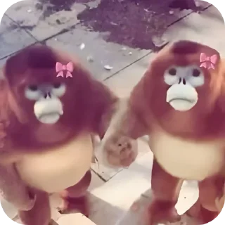 Video sticker ❤️ @round_stickers