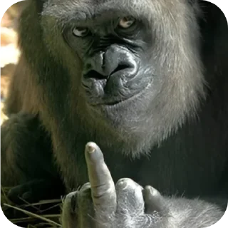 Telegram sticker 🖕 @round_stickers