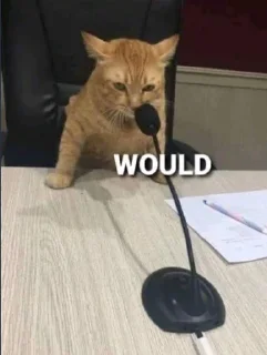 Video sticker 🤔 Shins kang pack 2