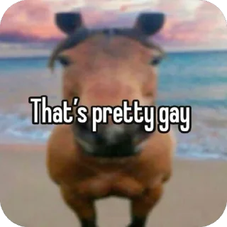 Telegram sticker 🫥 images reaction