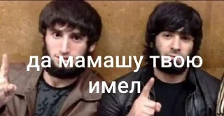 Телеграм стикер 🌟 хачпритон 2 @scofleld