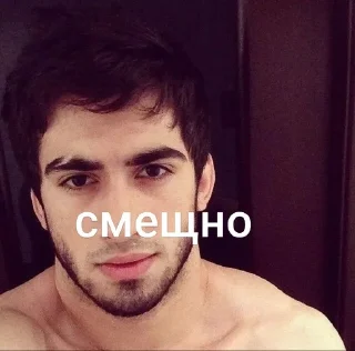 Телеграм стикер 🌟 хачпритон 2 @scofleld