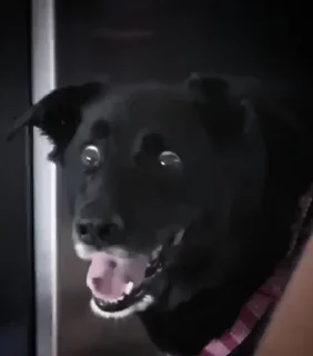 Telegram sticker 😳 The Big C