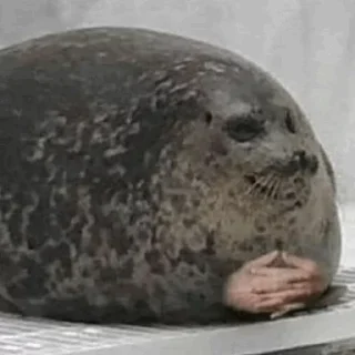 Telegram sticker 😐 The Big C