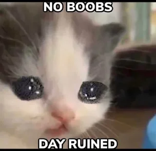 Video sticker 🥺 R E G Λ ⁪⁬⁮⁮⁮T R O X @RegatroX