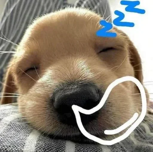 Telegram stiker 💤 Grupo: @LaMafiaDelAmorChile