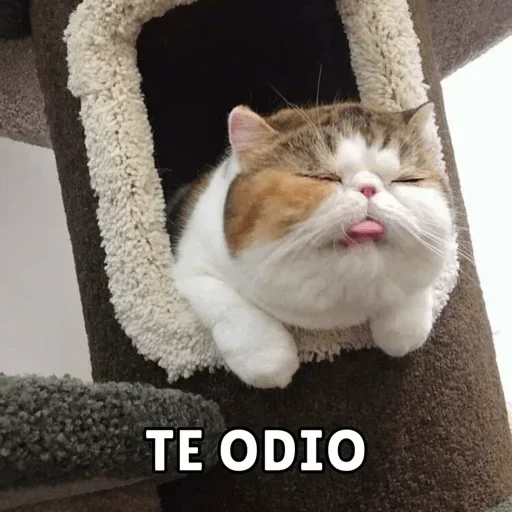 Telegram stiker 😀 Grupo: @LaMafiaDelAmorChile