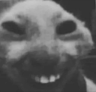 Telegram sticker 🙂 Pack 𝐠𝐮𝐭𝐬