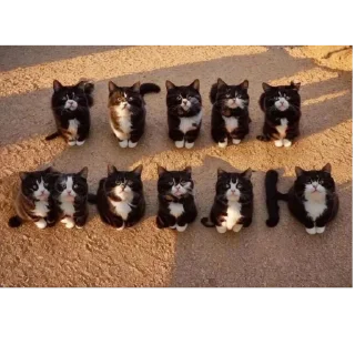 Telegram sticker 🍻 Не заходи сюда👉🏻 @sozdsti_bot