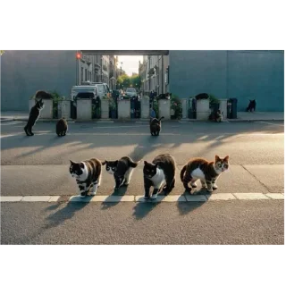 Video sticker 🍻 Не заходи сюда👉🏻 @sozdsti_bot