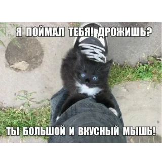 Sticker 🍻 Не заходи сюда👉🏻 @sozdsti_bot