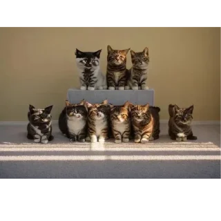 Video sticker 🍻 Не заходи сюда👉🏻 @sozdsti_bot