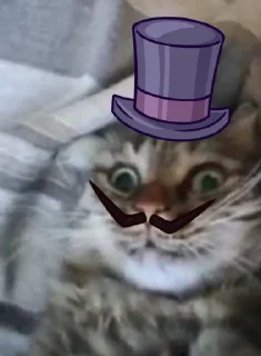 Telegram sticker 🎩 Chupa