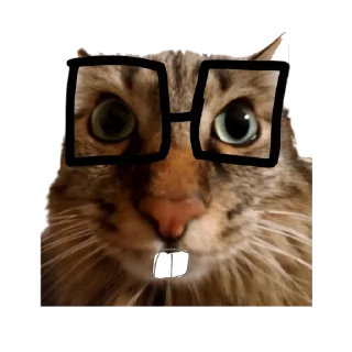 Video sticker 🤓 Chupa