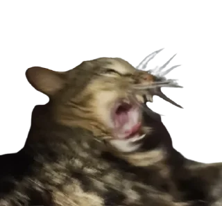 Telegram sticker 🦖 Chupa