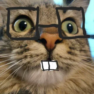 Video sticker 🤓 Chupa