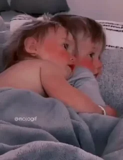 Video sticker ⭐️ Nick🖤 👀🧐 • @sticbot