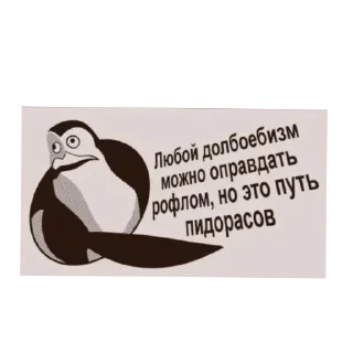 Video sticker 👍 27 @moriarffy