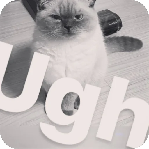 Telegram sticker 😾 @echo272Hz