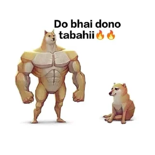 Video sticker 🌟 Cheems_7 @Lucifer_DL :: @fStikBot