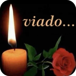 Video sticker 🌸 Sla