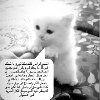 Телеграм стикер 🐈 To @yhhhc 🤏