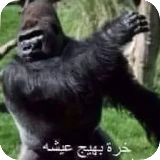 Telegram sticker 😭 @Thrrain