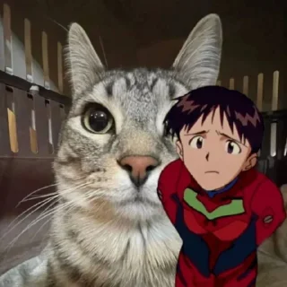 Telegram sticker 🙁 Котик Зазу @StickerChest