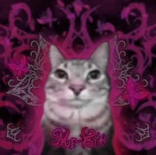 Telegram sticker 🌟 Котик Зазу @StickerChest