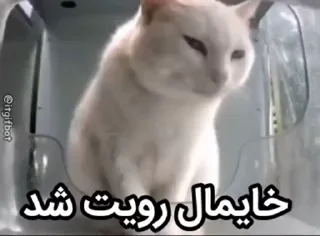 Video sticker 😏 @YumeAniSticker حتما جوین شو