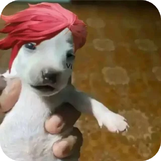 Video sticker ✋ @mashtimeme |طویله عارکین دوست
