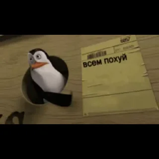 Video sticker 🤡 animated bullshit by @svindom