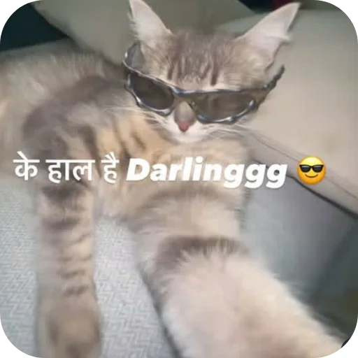 Telegram stiker 👍 Gammu