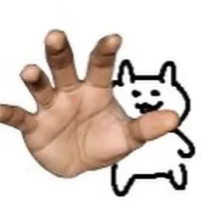 Video sticker 🖐 friends