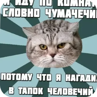 Telegram sticker 💩 Больше стиков тут: @stikery4