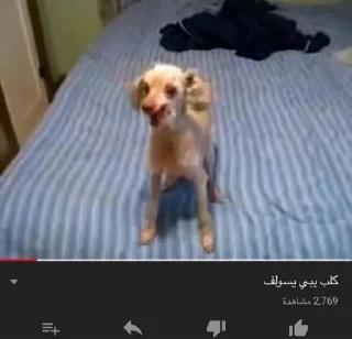 Telegram sticker 😉 فهيدان❤️‍🔥