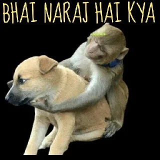 Телеграм стикер 🤔 Itz_x's sticker pack (@Mikasa_Ackr_bot)