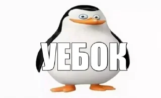Video sticker 🐧 @akenoji, что ты сделал? :: @fStikBot