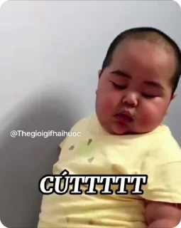 Video sticker 🌟 @thegioigifcute888