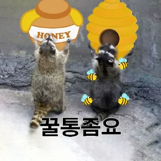 Telegram sticker 🍯 donjomyo